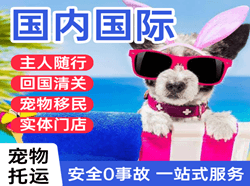 忻州机场物流国际宠物托运 【国